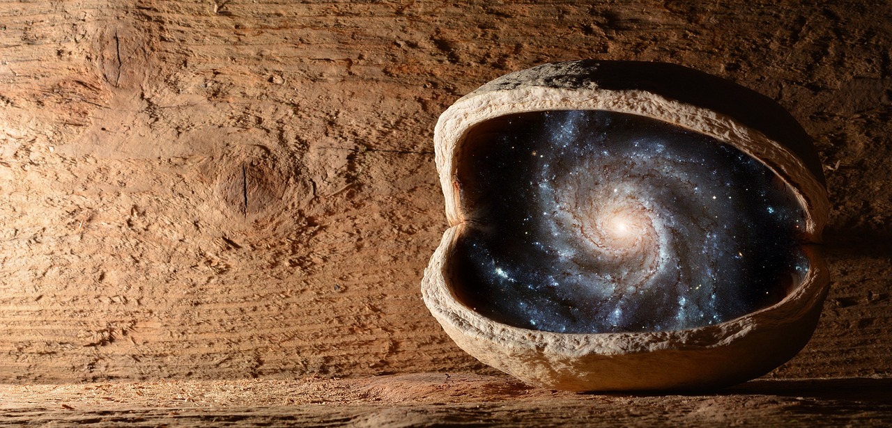 Evolutionary Thought and Philosophy - An Analysis
